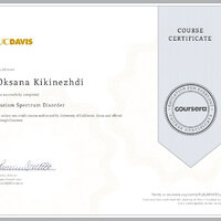 Kikinezhdi_Coursera 2