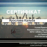 IMG-adc65188ceca9302821587237531cb2b-V