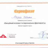 shpak-m.-seminar-emoc.-intelekt-1