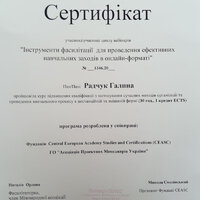 Сертифікат вебінару по фасилітації