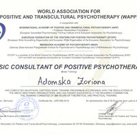 2.3.1 Позитивка 2