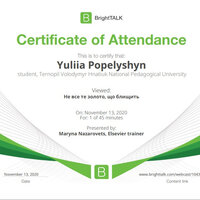 certificate n— кnkkо