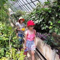 IMG-95266d54517ec7629b9b6d8539b7ba00-V