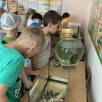 IMG-c4f5bdc9a51bf319a2da52e031723acd-V